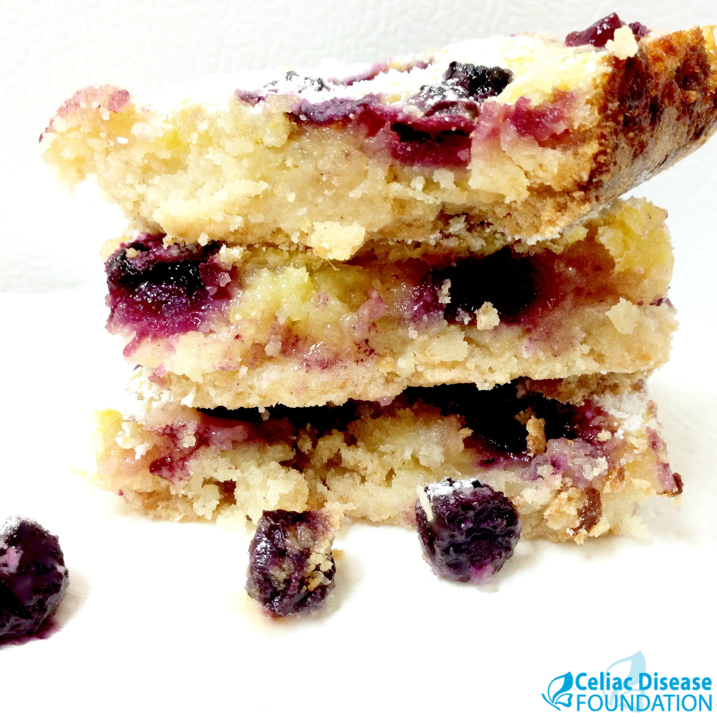 Blueberry Lemon Bars